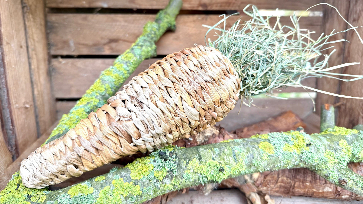 Volle Karotte XL 125g 24cm x 7cm x 7cm