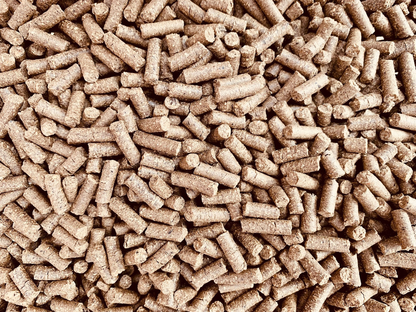 Mönchspfeffer / Keuschlammsamen Bits 100g