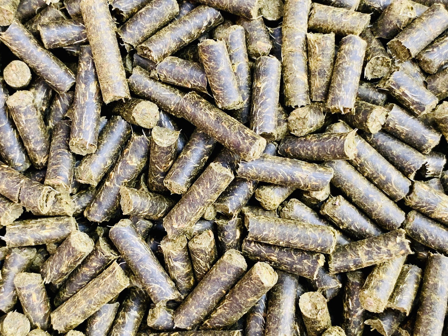Thymian Bits 100g