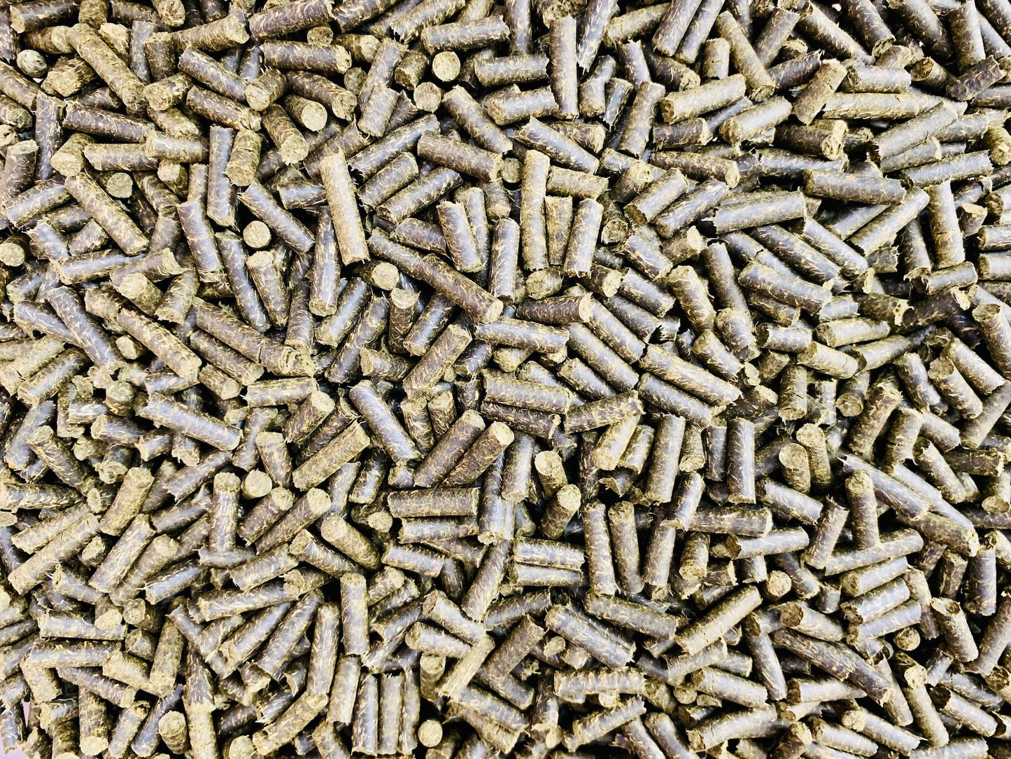Thymian Bits 100g