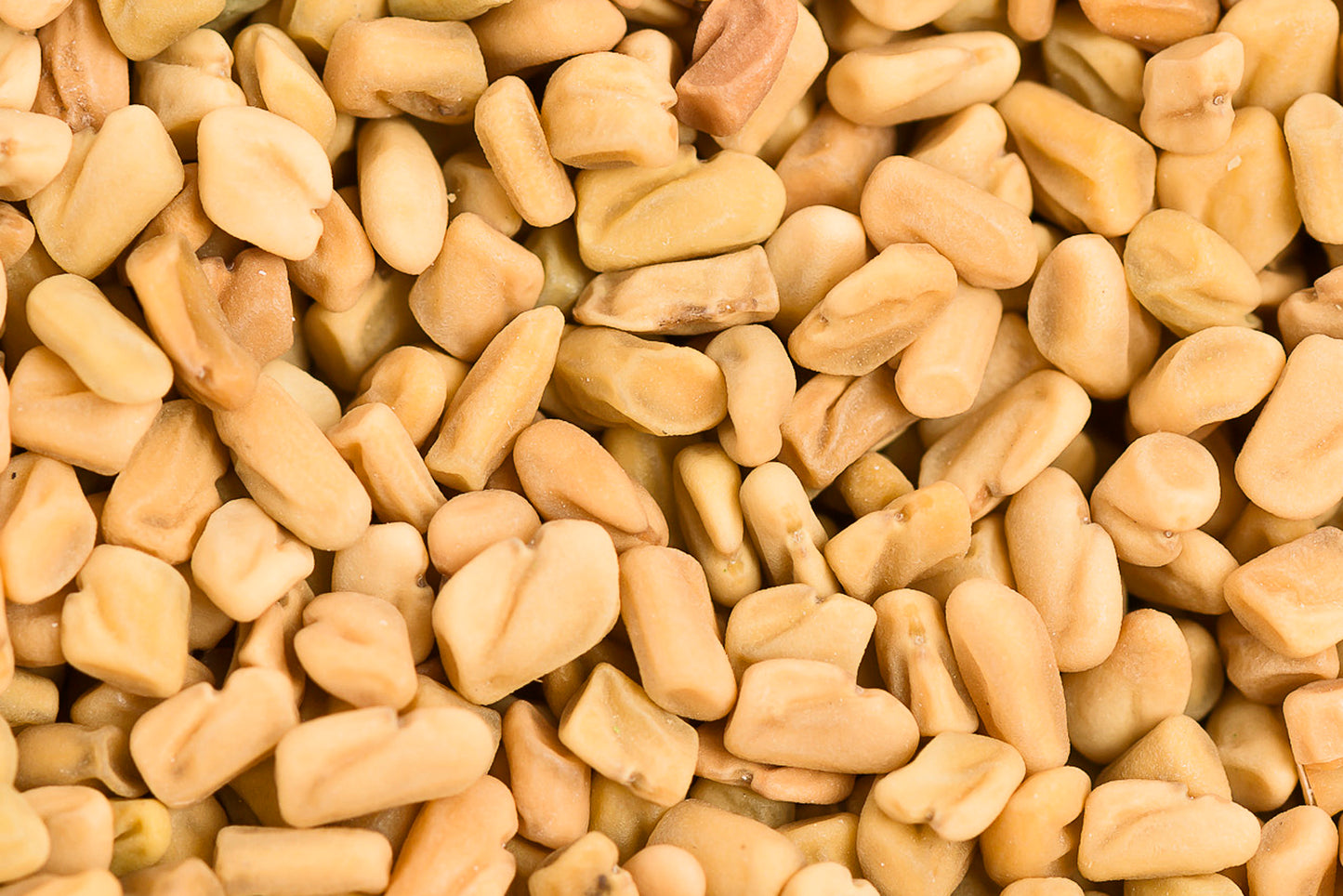 Bockshornkleesamen 100g