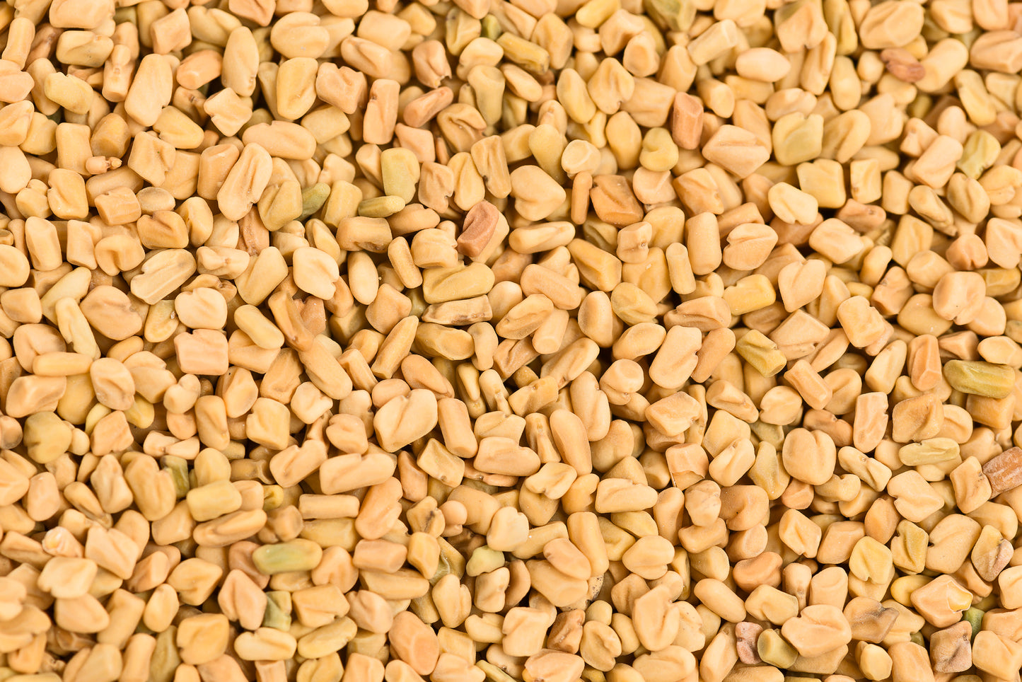 Bockshornkleesamen 100g