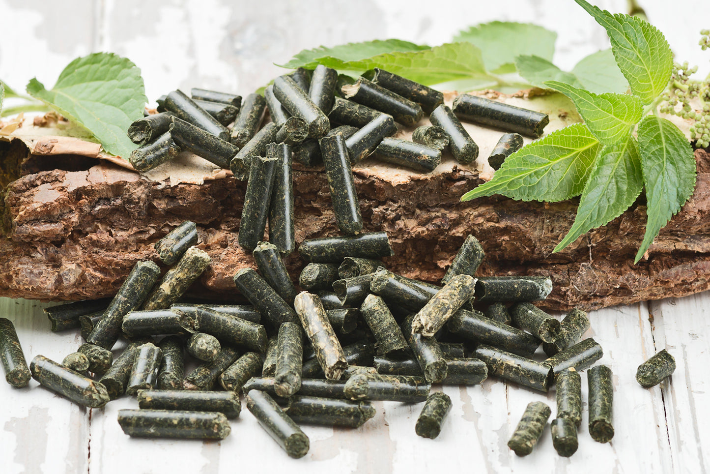 Brennnessel Bits 100g
