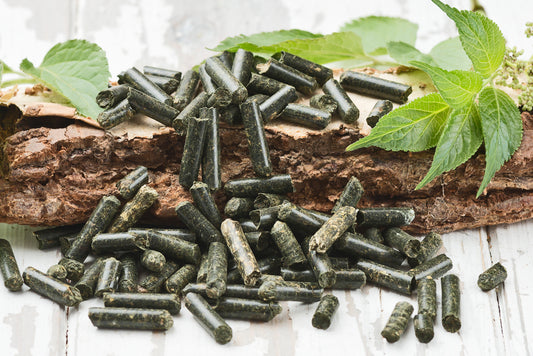 Brennnessel  Bits 100g
