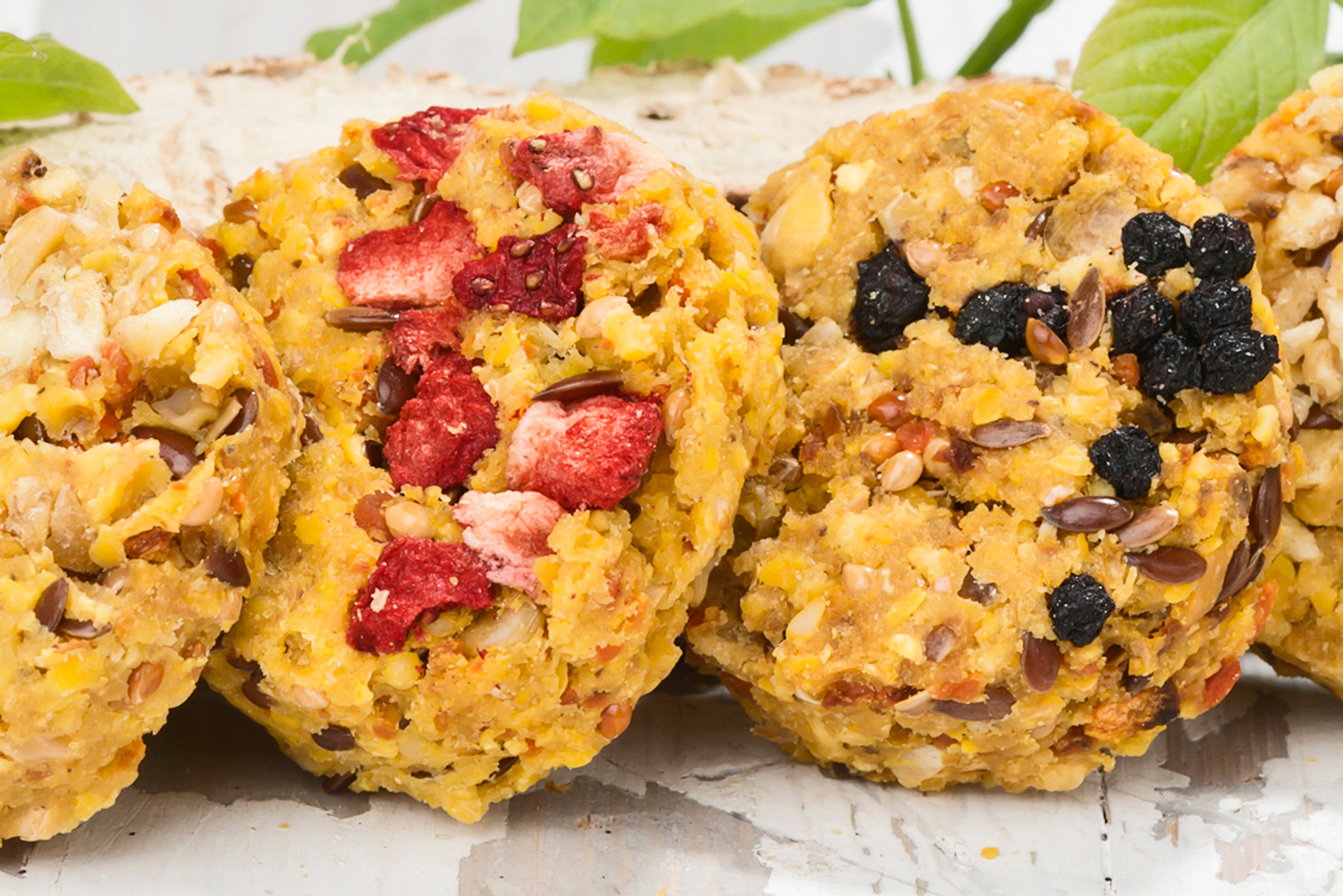 Fruchttaler, 6 Stück 80g – kaninchenhofladen