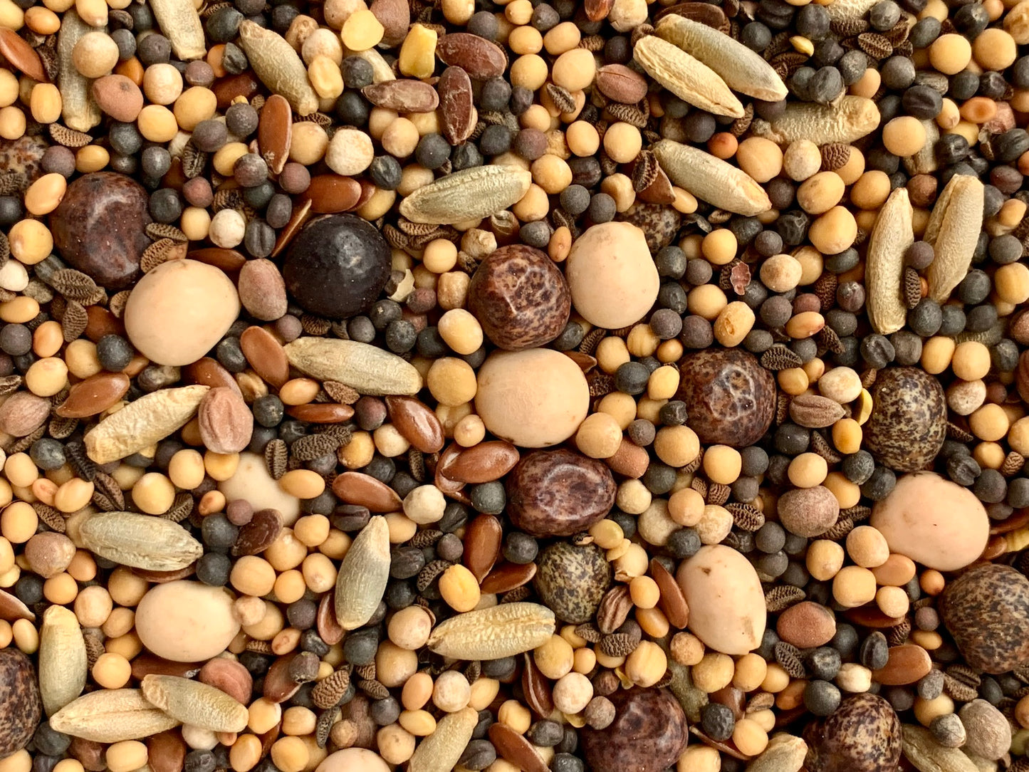 Kaninchens Blütenwiese 50g