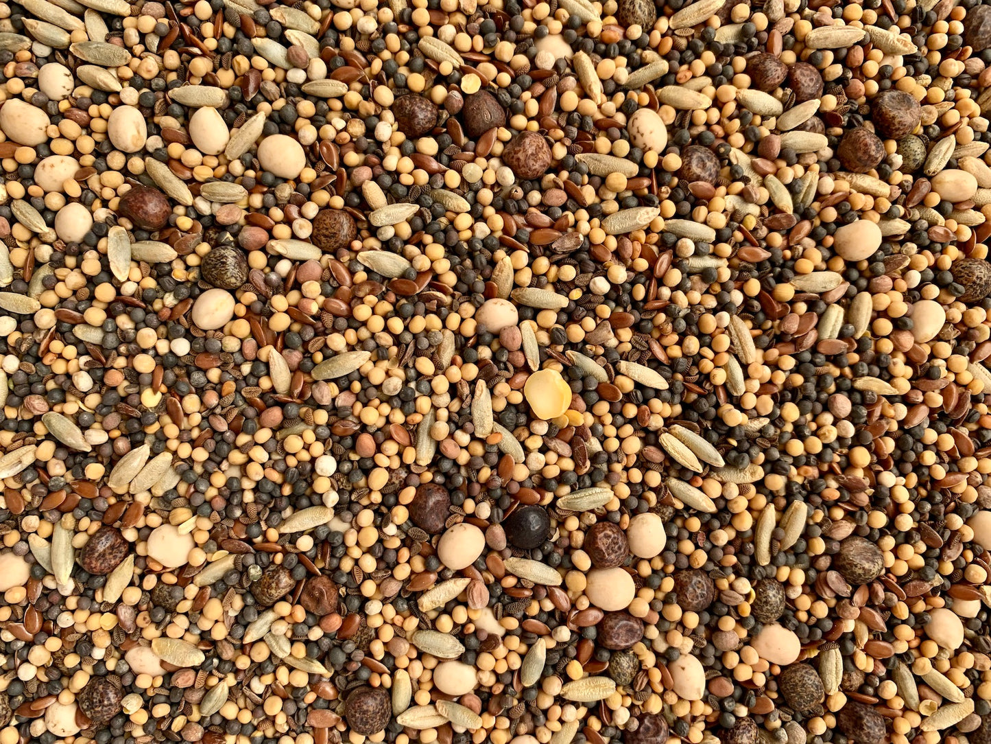 Kaninchens Blütenwiese 50g