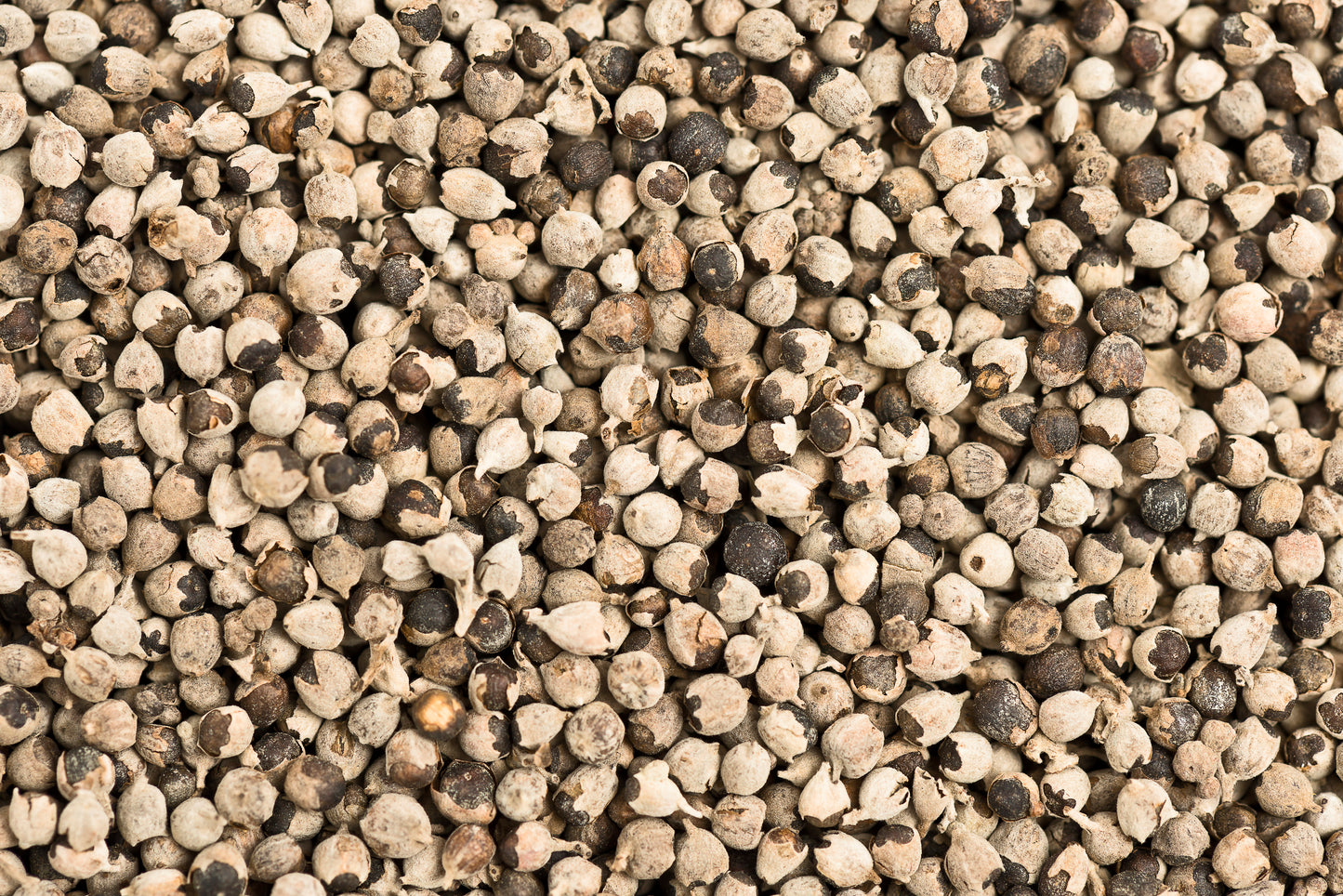 Keuschlammsamen / Mönchspfeffer 100g