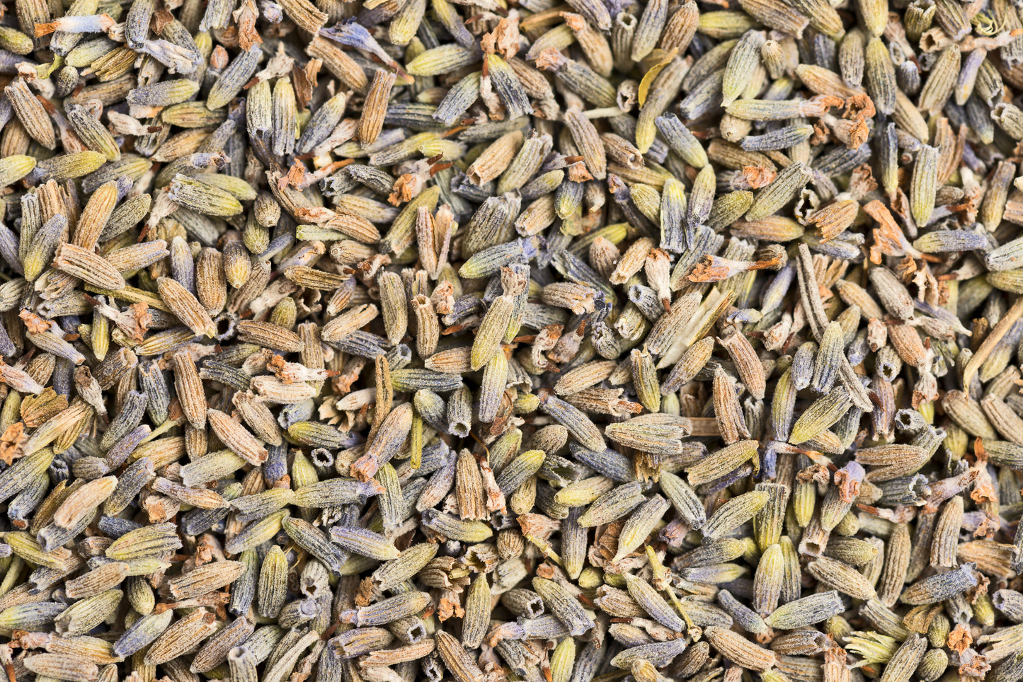 Lavendelblüten 100g