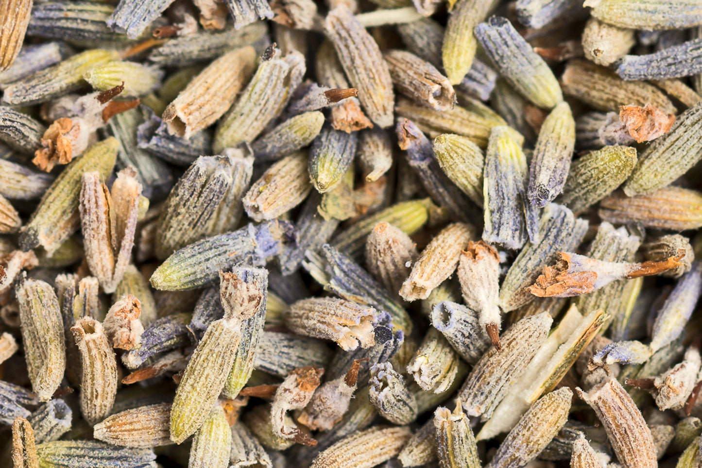 Lavendelblüten 100g