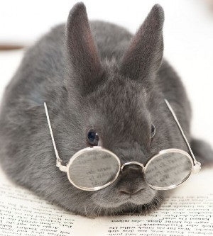 Telefonische Beratung