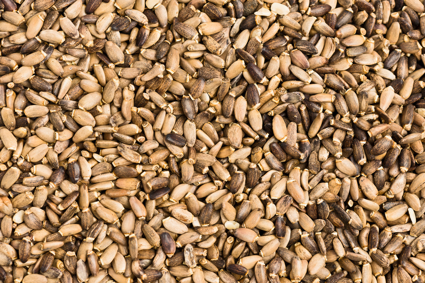 Mariendistelsamen 100g