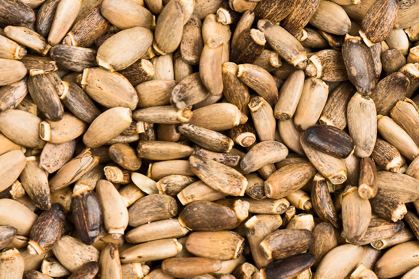 Mariendistelsamen 100g