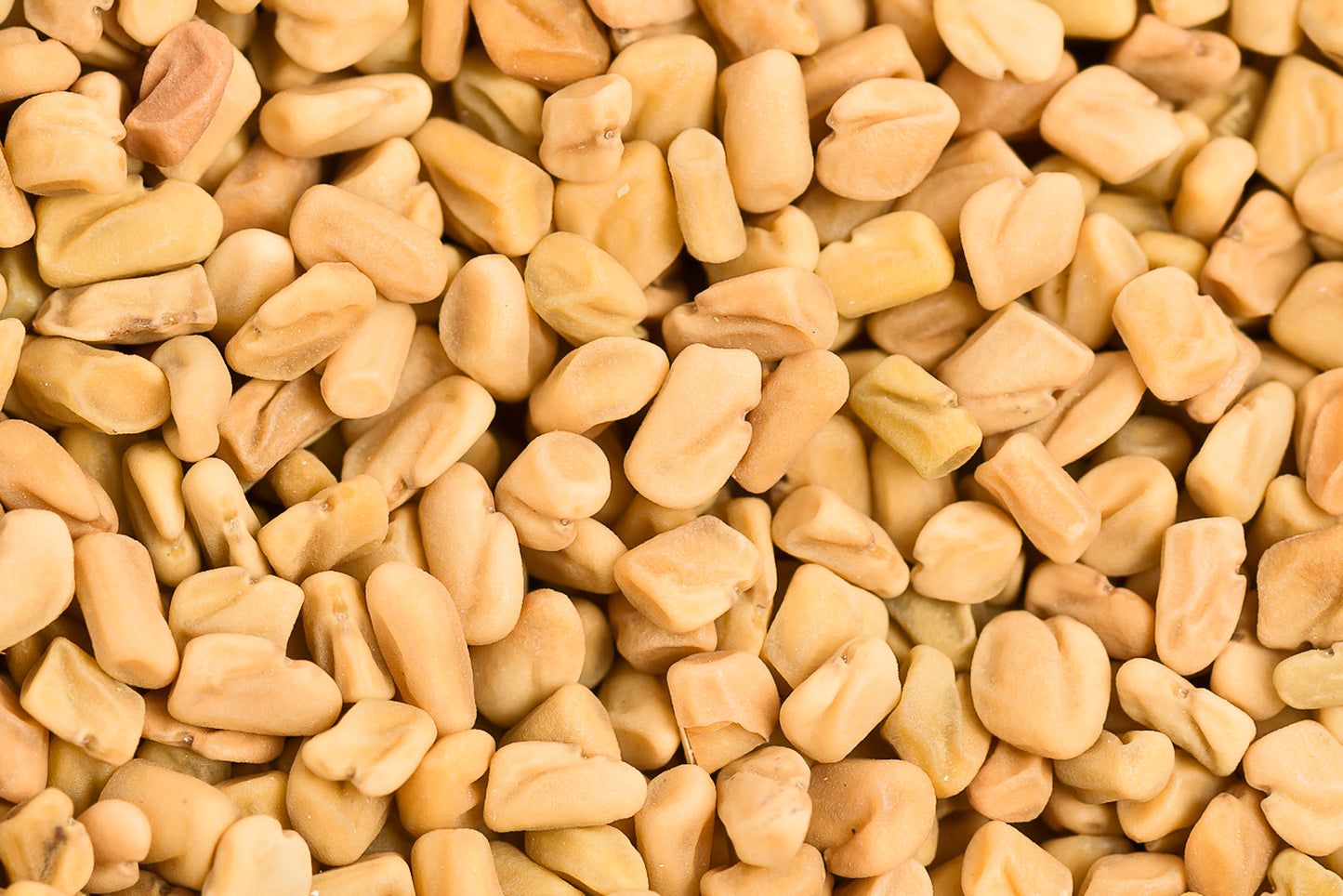 Bockshornkleesamen 50g