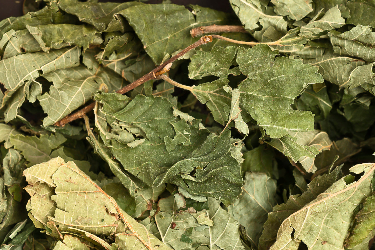 Haselnussblätter 50g