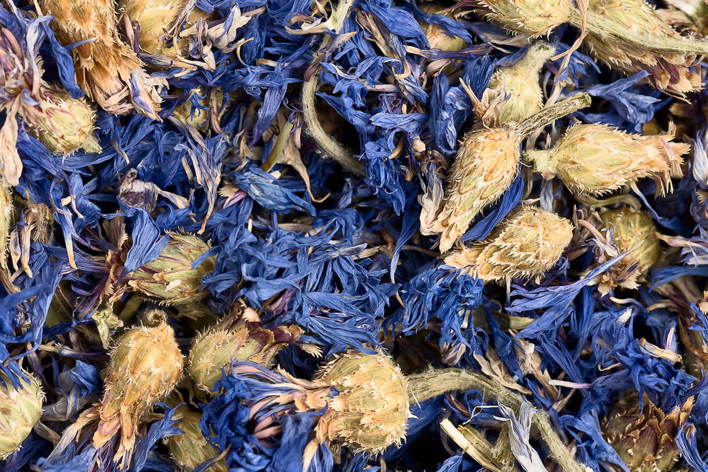 Kornblumenblüten 50g