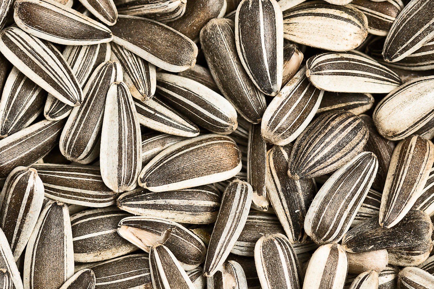 Sonnenblumenkerne, gestreift 50g