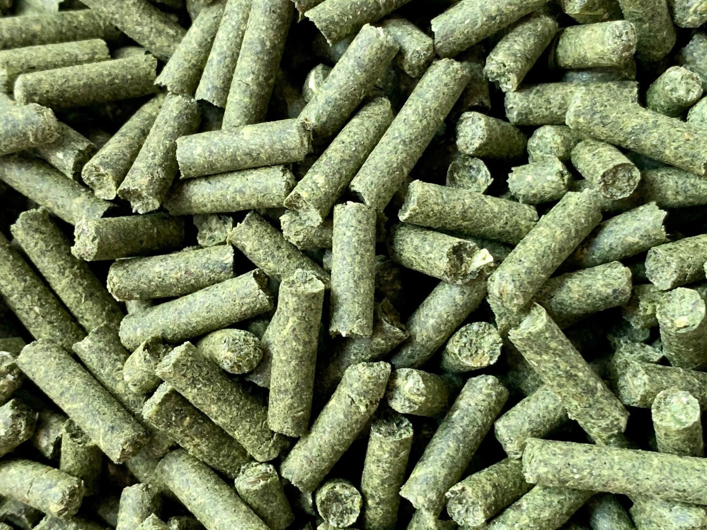Petersilien Bits 100g