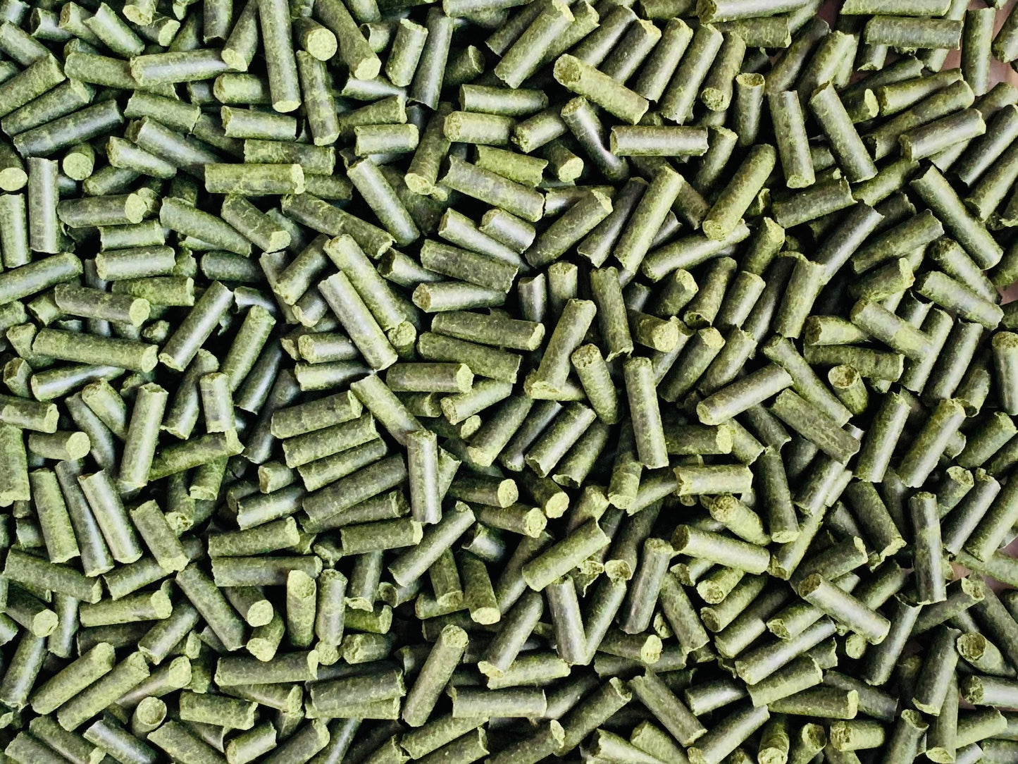 Petersilien Bits 100g