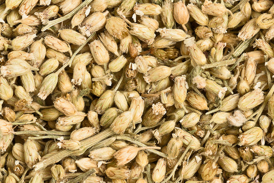 Schafgarbenblüten mit Kraut 100g