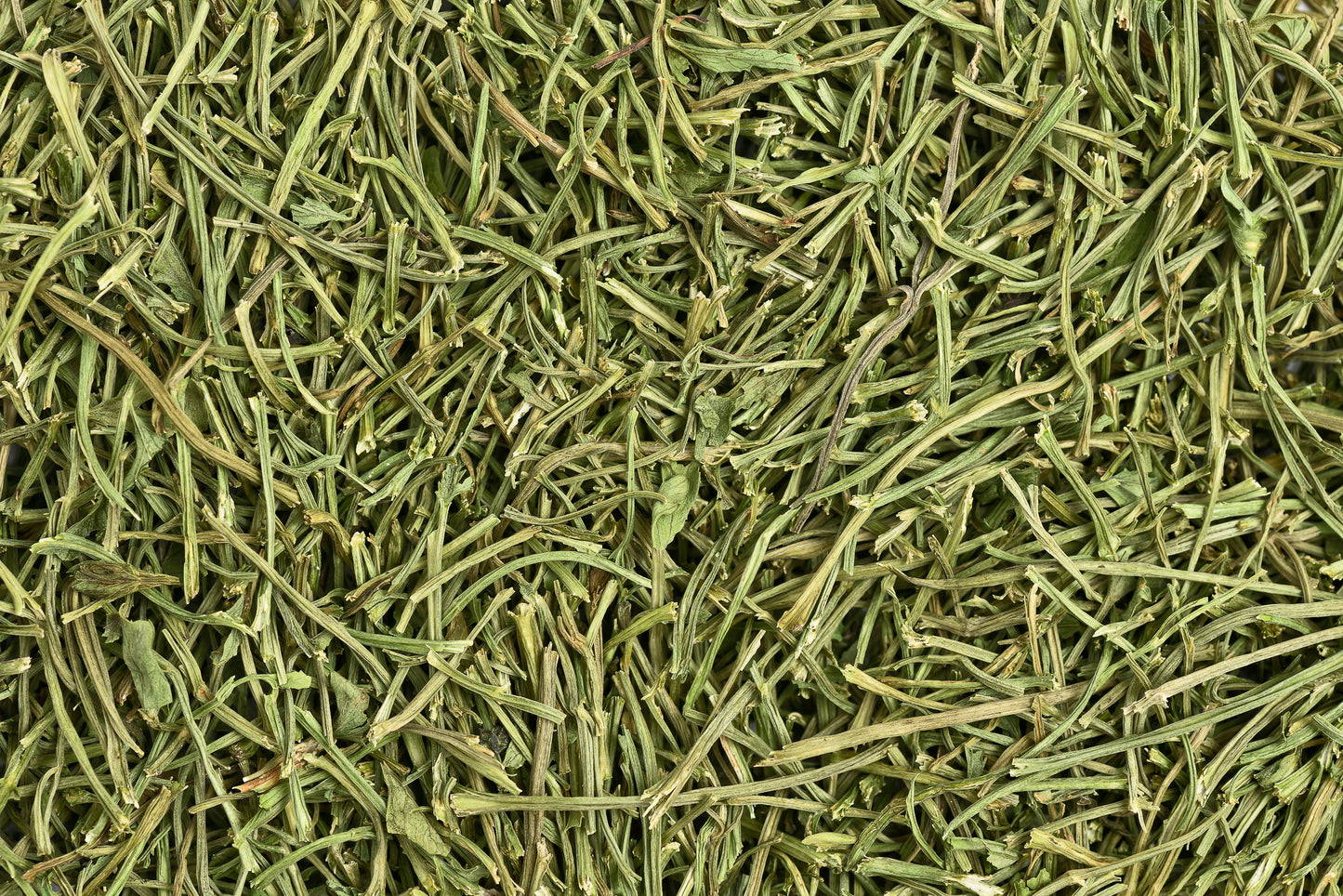 Selleriestiele 100g