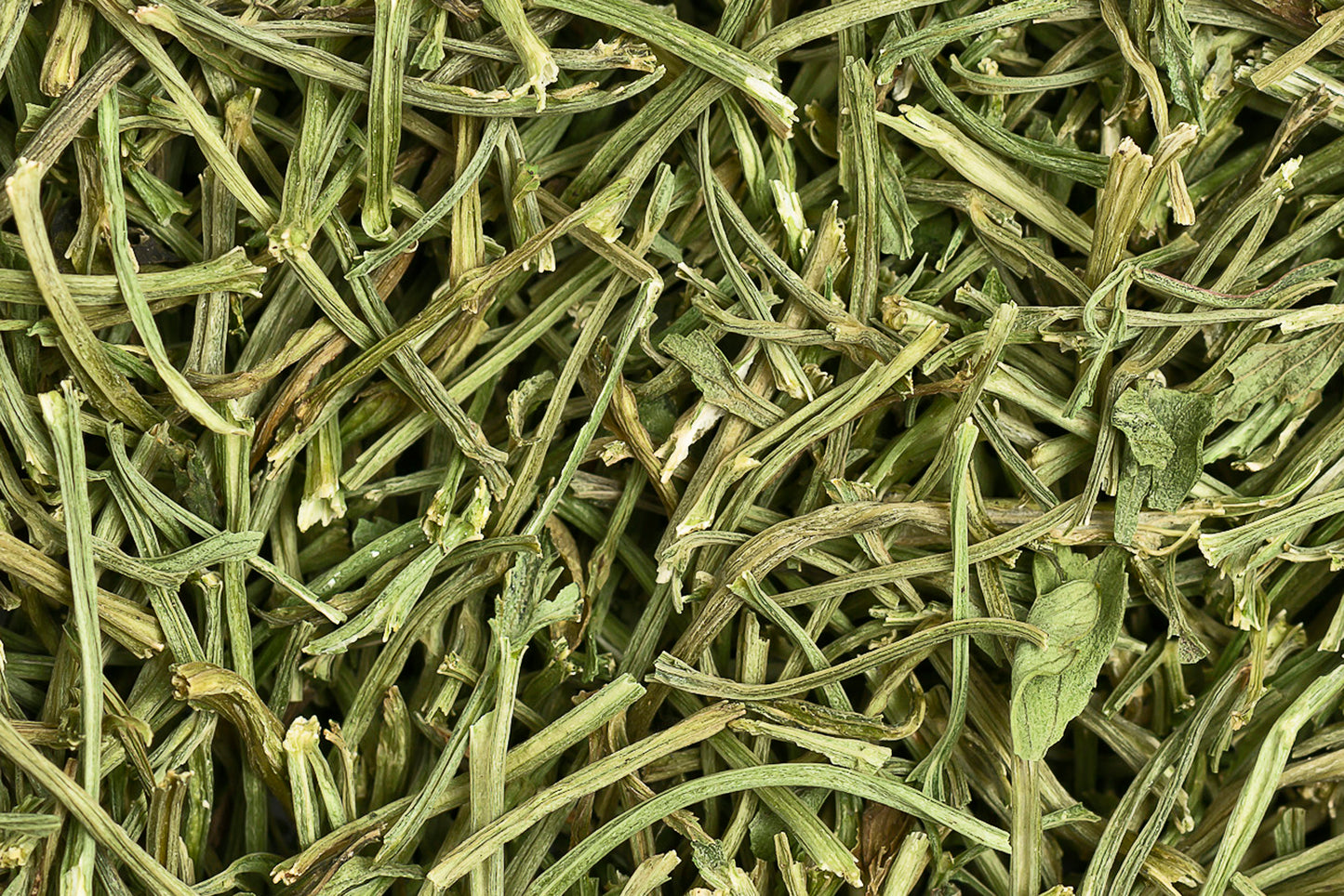 Selleriestiele 100g