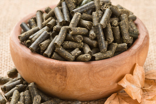 Johanniskraut Bits 100g
