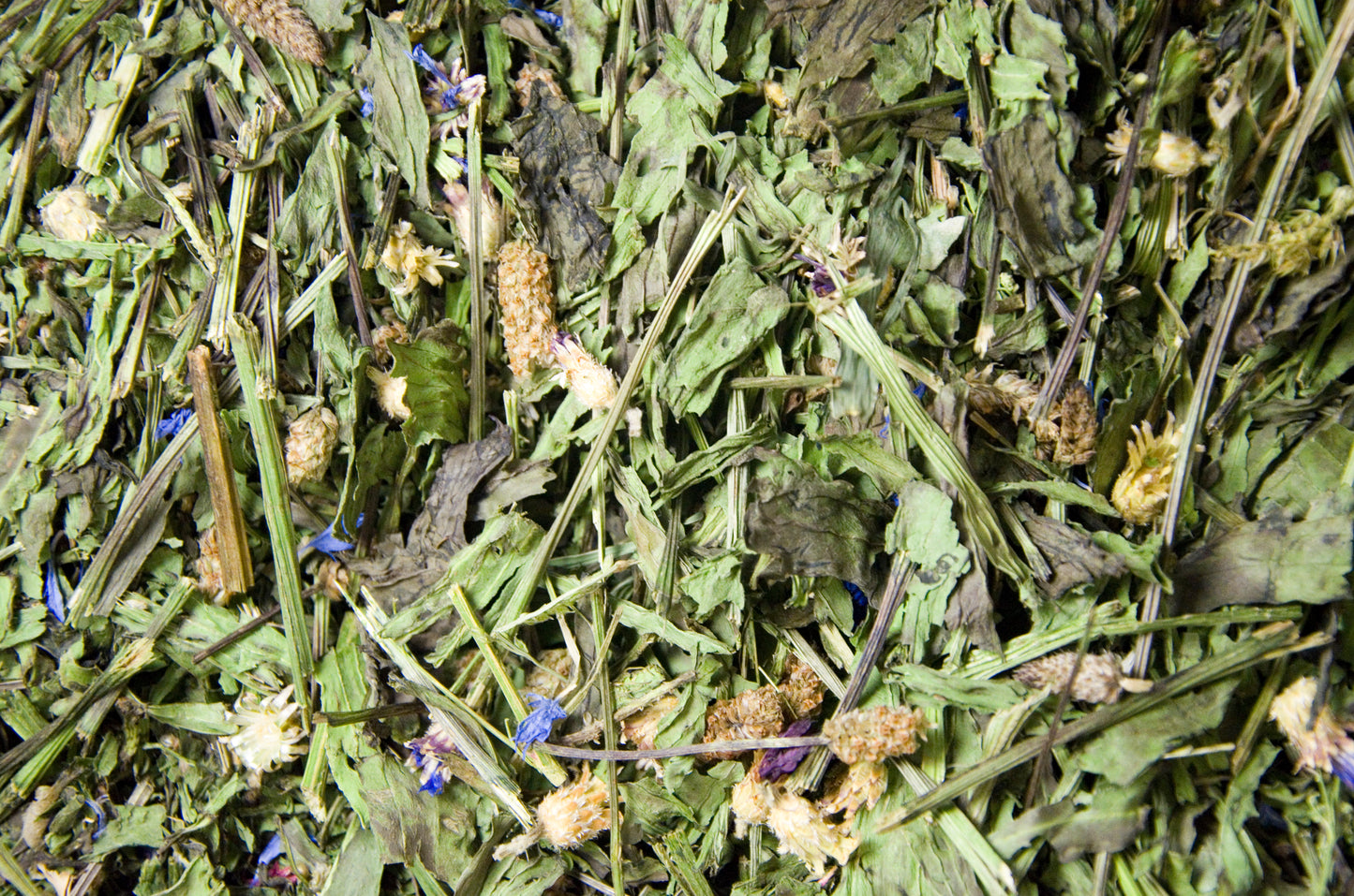 Spitzwegerichkraut 100g