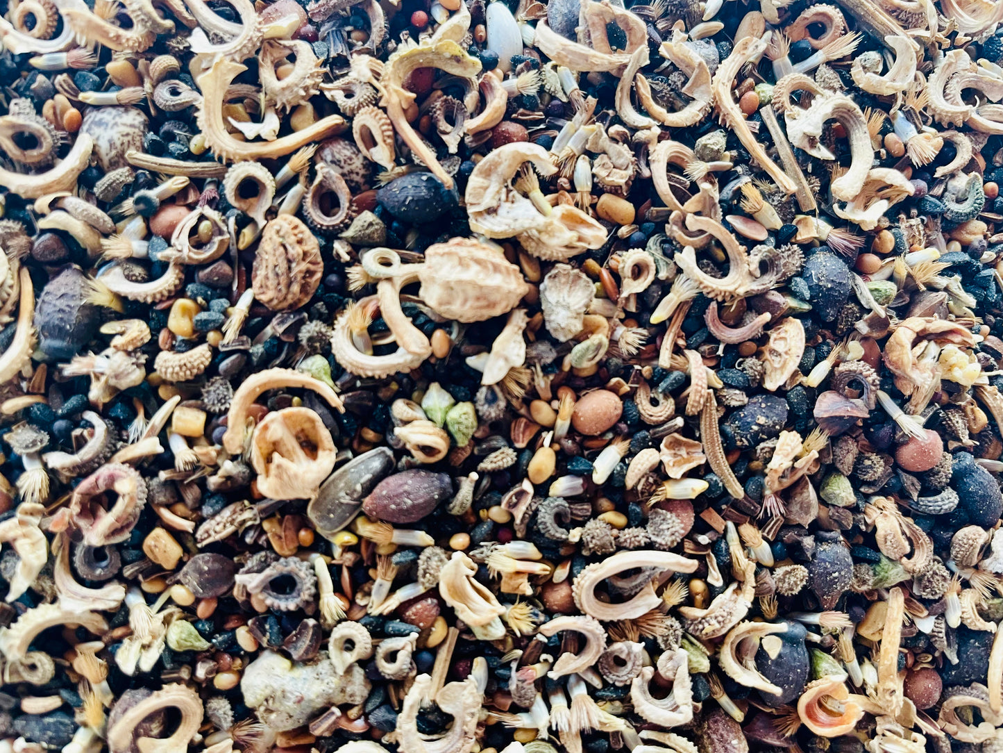 Blütenmeer 50g