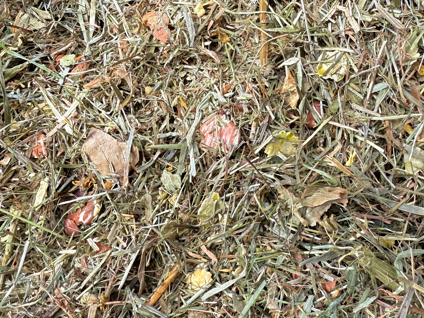 Buddelkram Herbstzeit 500g