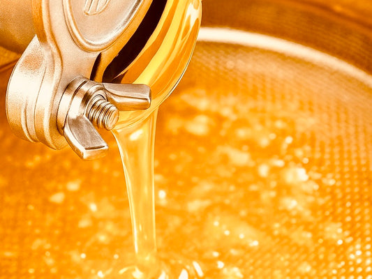 Bienenhonig im Glas 250g Sommertracht 2025