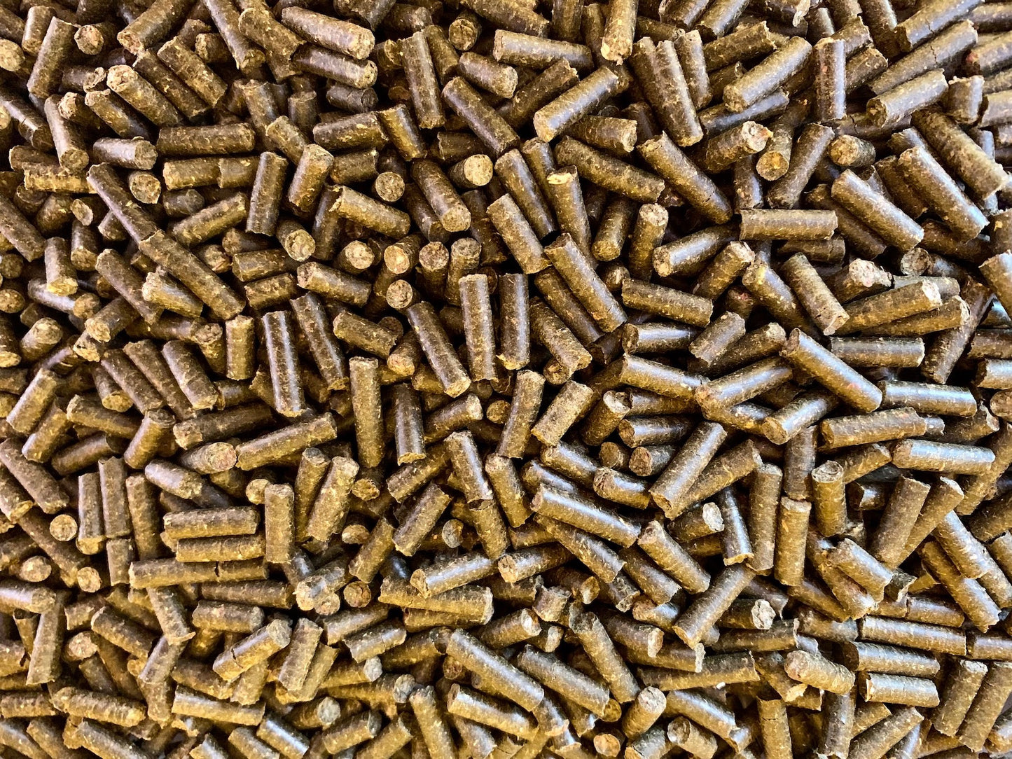 Basilikum Bits 100g