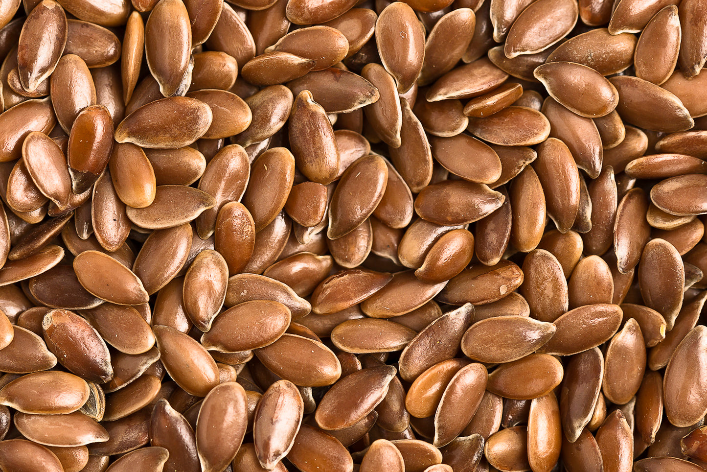 Leinsamen 50g