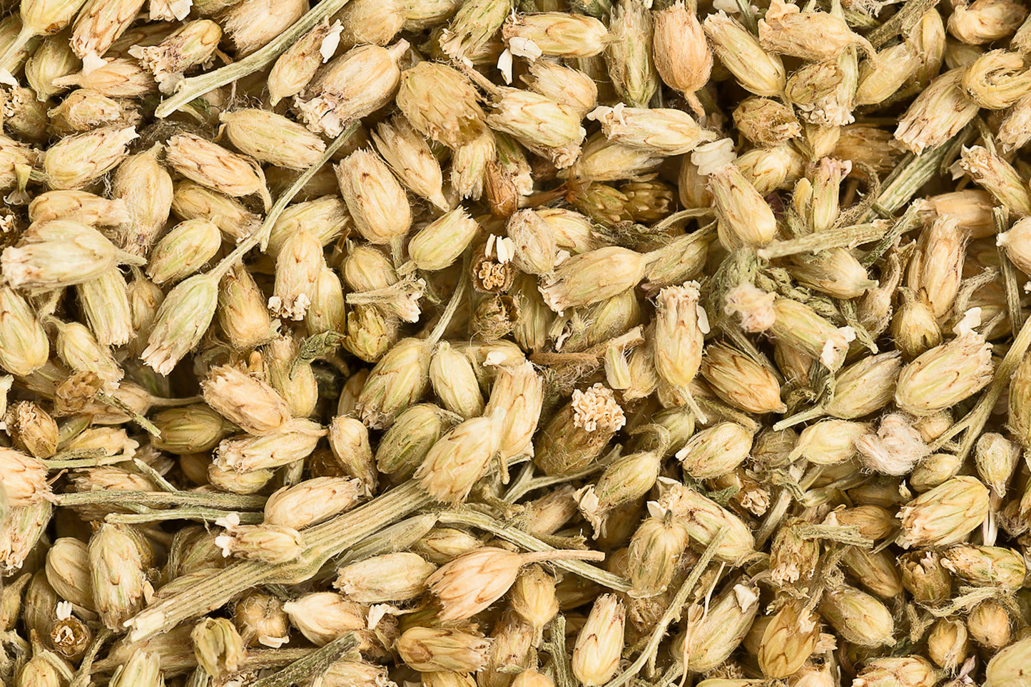 Schafgarbenblüten mit Kraut 100g
