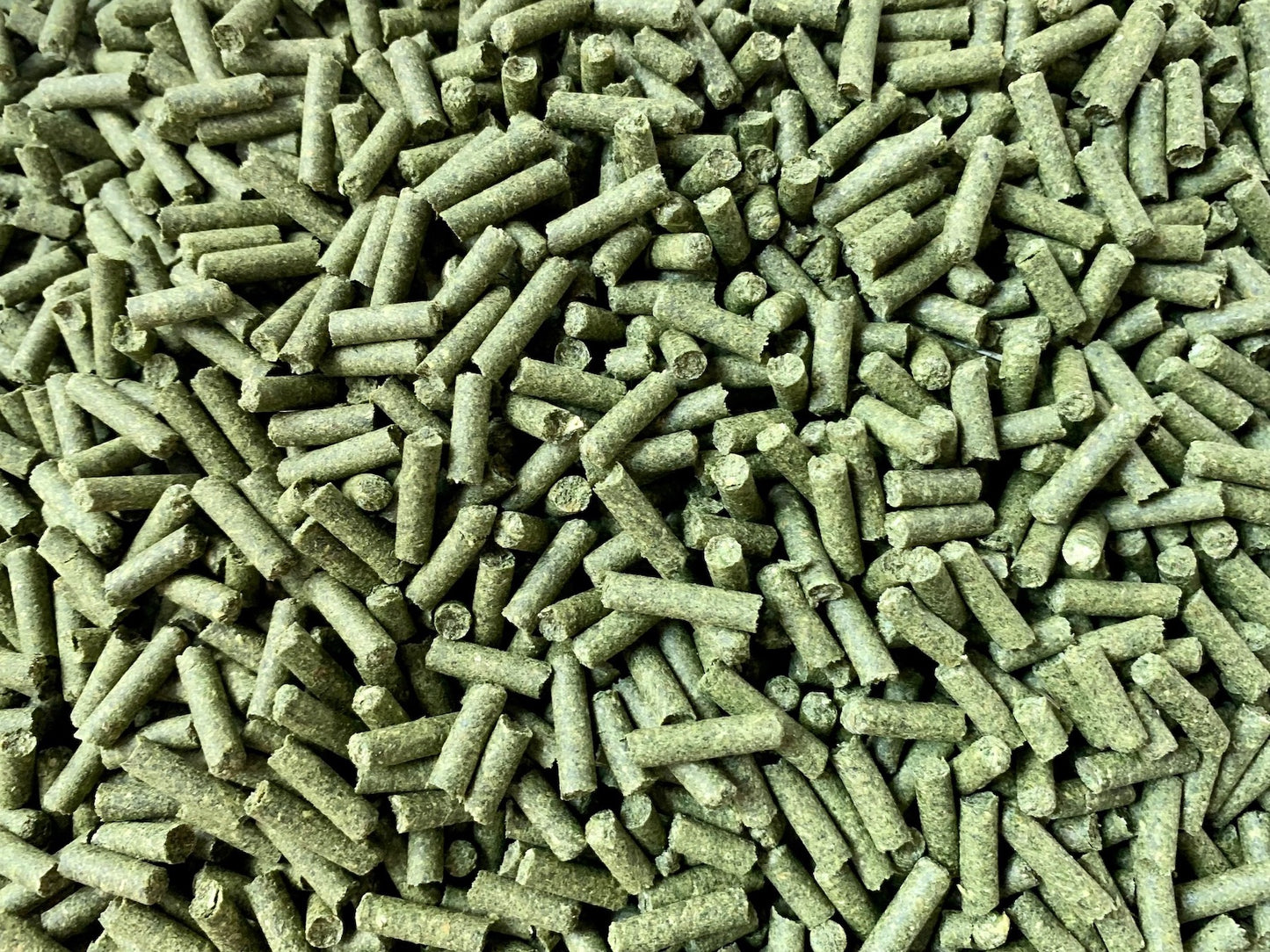 Spinat Bits 100g