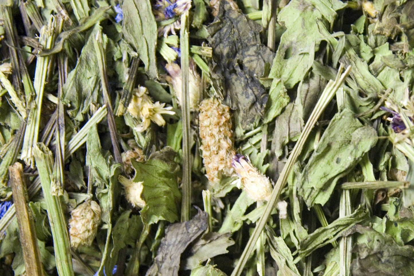 Spitzwegerichkraut 100g