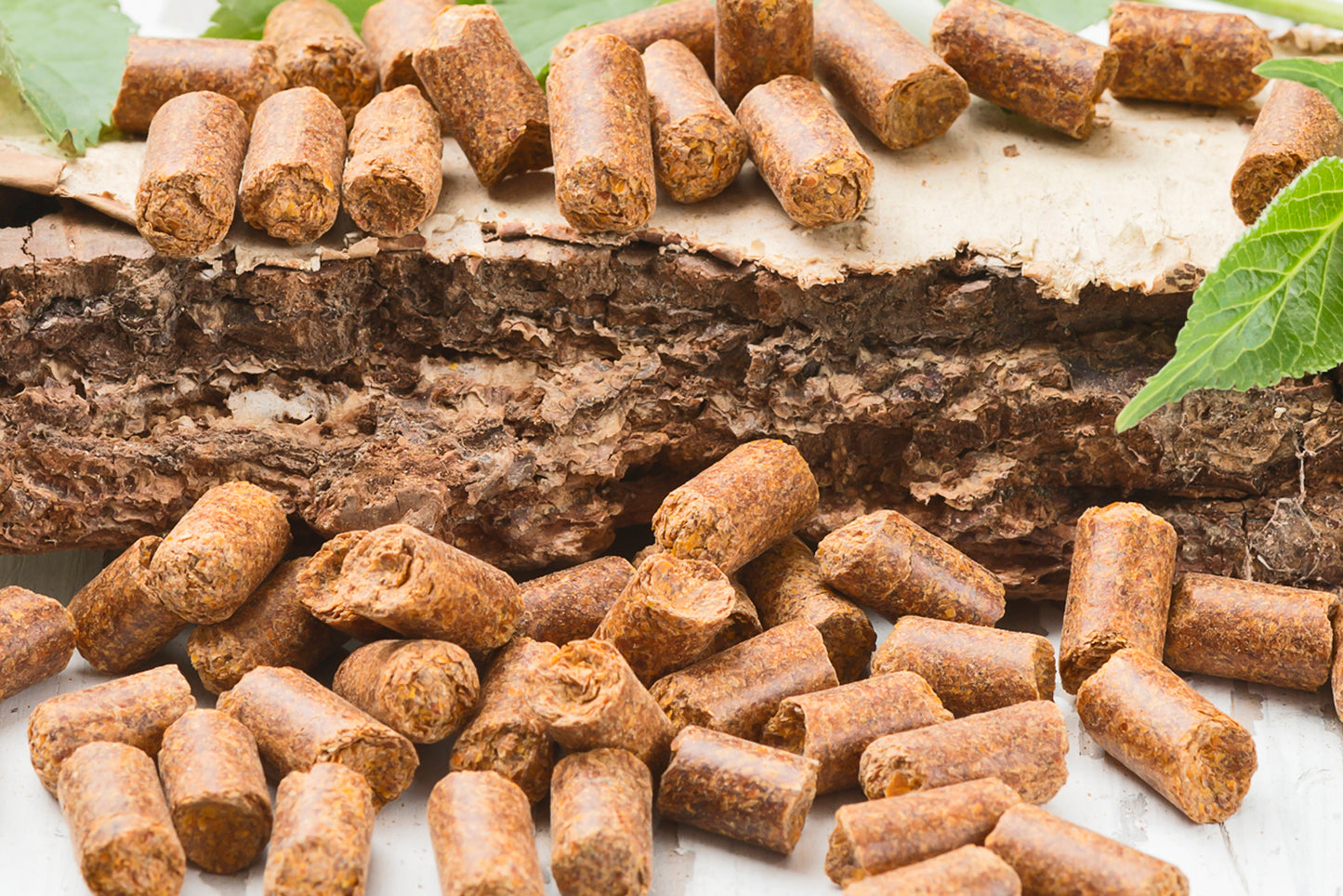 Karotten Bits 100g